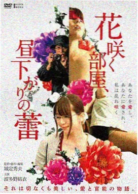 雾港谜案 院线电影资源